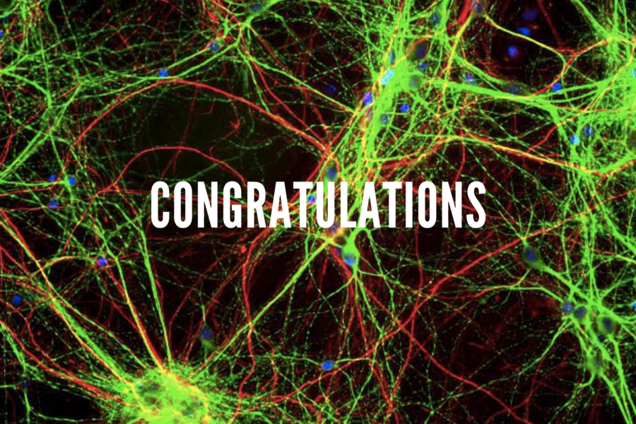 Photo of cells with text that reads "congratulations" laid over