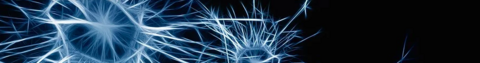 photo of white neurons on a blue-black ground