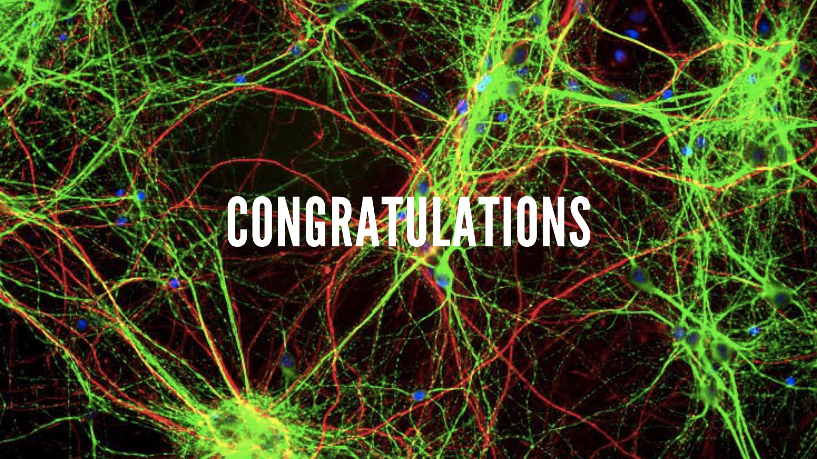 Image of green and red rat brain cells with the word "congratulations" in the centre in white text.