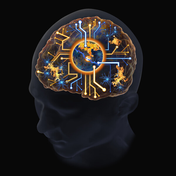 Graphic depiction of the brain as described in the article text.